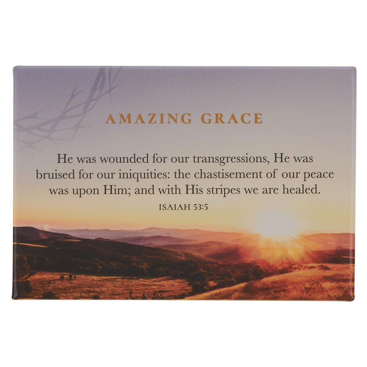 Magnet Crown of Thorns/Amazing Grace Isa. 53:5