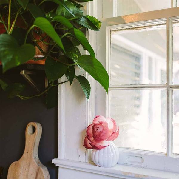 Sweet Grace Flower Diffuser - Debs on 5th